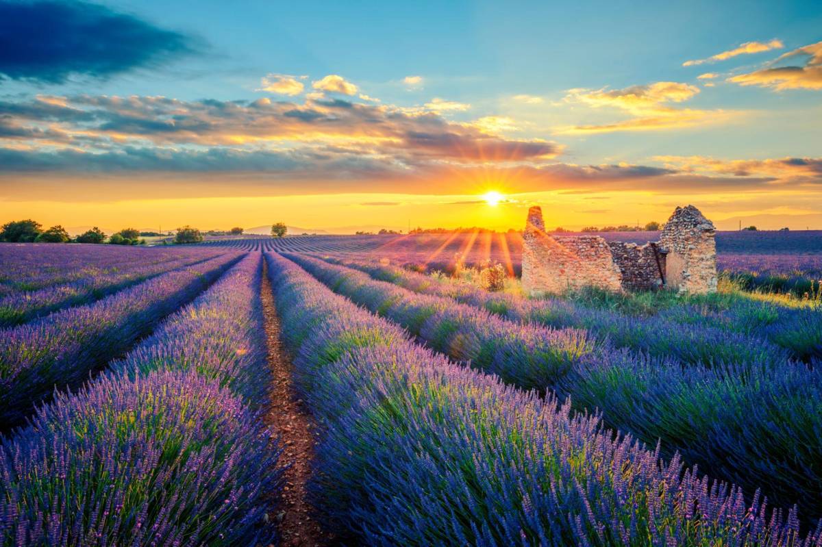 Discover France Gallery