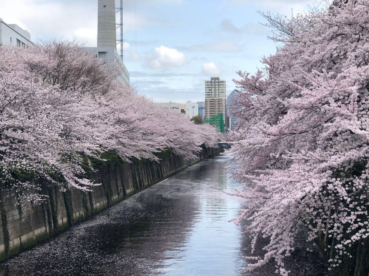 Explore Japan Gallery